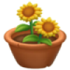 10 Potted Plant